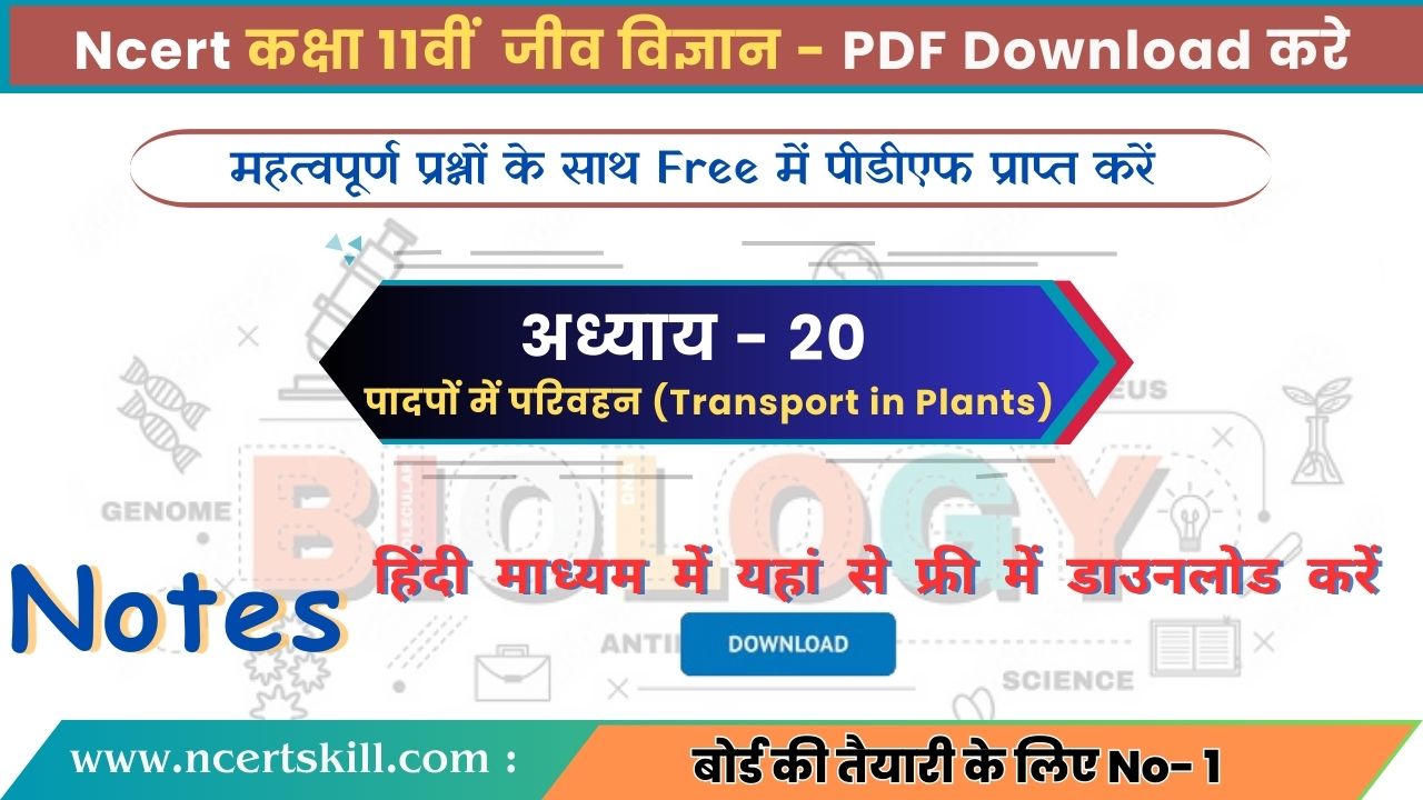 11th Biology Chapter 20 Notes PDF Download in Hindi | अध्ययय 20 पादपों में परिवहन (Transport in Plants)