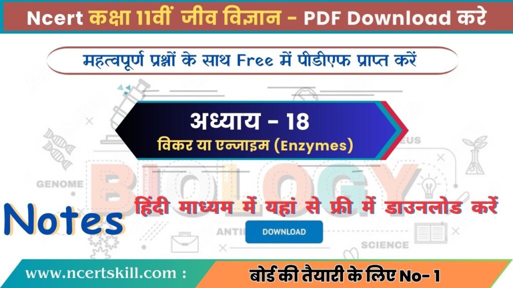 11th Biology Chapter 18 Notes PDF Download in Hindi | अध्ययय 18 विकर या एन्जाइम (Enzymes)